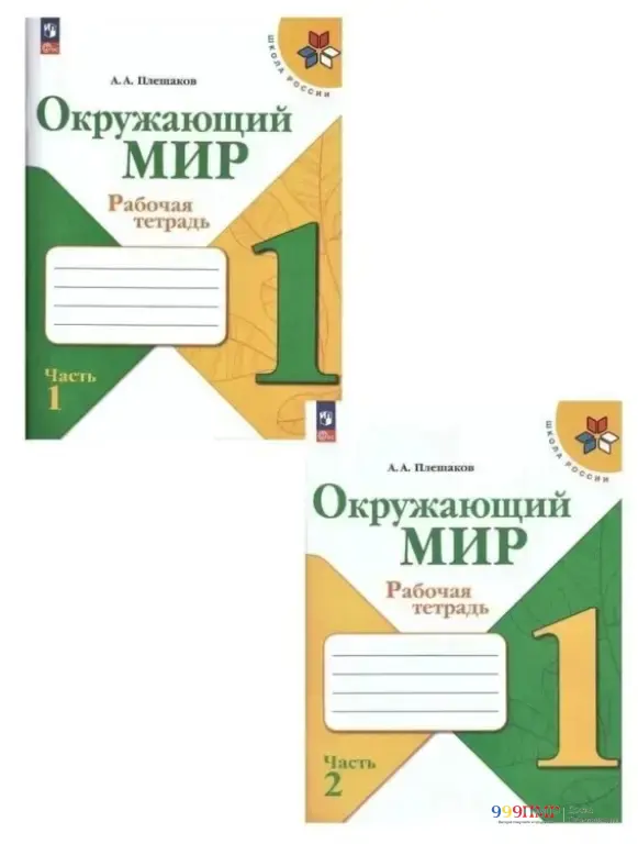 Тетради по Приднестровью 1 кл. Плешаков Окружающий мир. Рабочая тетрадь 2 части