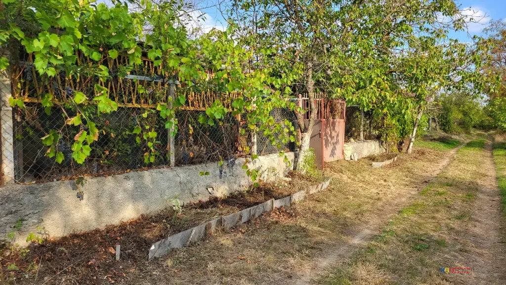 Vilă de 6 ari cu căsuță de vacanță, foișor, apeduct și seră. Дача 6 соток с садовым домиком, беседкой, водопроводом и теплицей